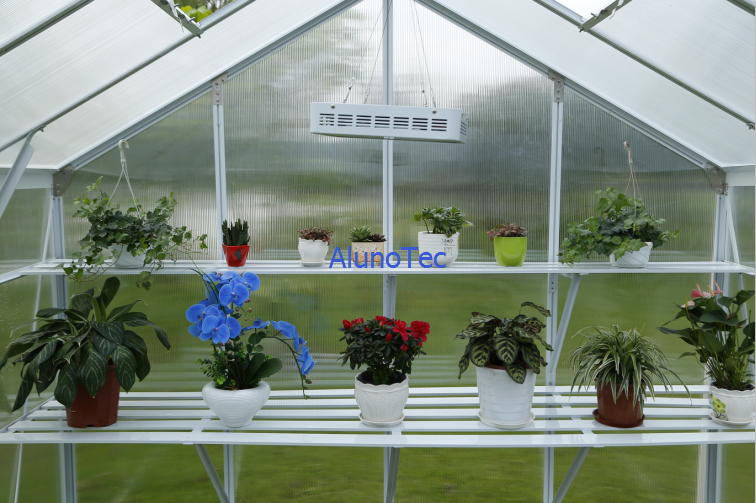 Polycarbonate Greenhouse 3