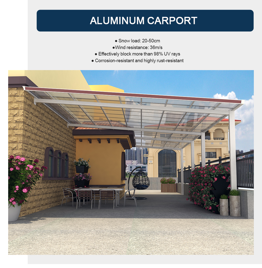 aluminum carport (1)